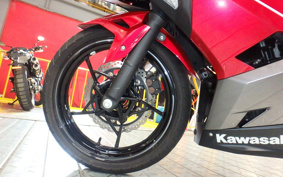 KAWASAKI NINJA 250 EX250P