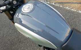 DUCATI SCRAMBLER 1100 2020