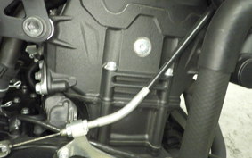 YAMAHA MT-25 A RG74J