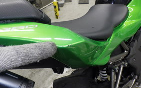 KAWASAKI Z250 SL 2010 BR250E