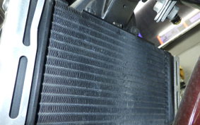 HONDA HORNET 250 1994 MC31