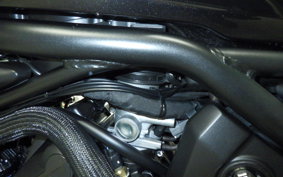 HONDA REBEL 1100 T 2023