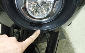 HARLEY FXLRS1920 2025