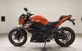 KAWASAKI Z250 2022 ER250C