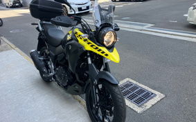 SUZUKI STROM 250 DS11A