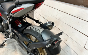 TRIUMPH TRIDENT 800 2026 L24P40