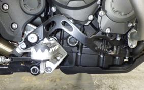 TRIUMPH TIGER 900 GT PRO 2020