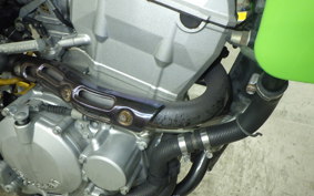 KAWASAKI KLX250 2022 LX250E