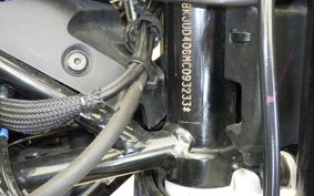 HUSQVARNA SVARTPILEN 250 2010