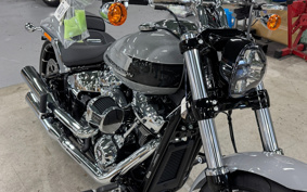 HARLEY FXBR 2025 YEZ