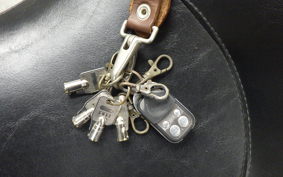 OTHER +HD. FLHX1580 2008