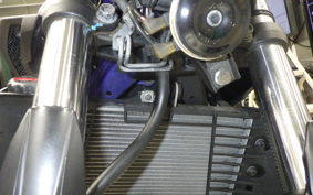 YAMAHA MT-25 2005 RG10J