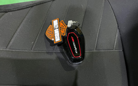 HARLEY  HARLEY FLTRXSTSE CVO 2024 TL8