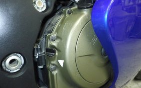 HONDA CBR1100XX 1999