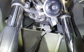 YAMAHA YZF-R25 A 1993 RG10J