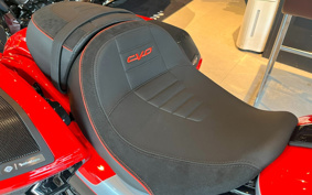 HARLEY HARLEY FLTRXSE1800CVO 2025 TC6