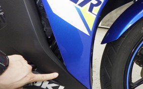 SUZUKI GSX250RA 2022