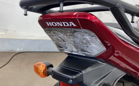 HONDA CB400 SUPER  BOL DOR ABS 2024 NC42