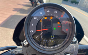 HARLEY FXLRS 2024 YWZ