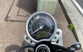 TRIUMPH STREET TWIN 2017 DAD74G