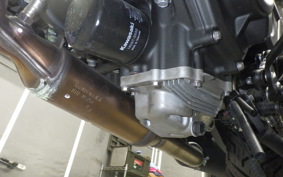 KAWASAKI ELIMINATOR400-3 2024 EL400A