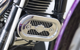 HARLEY FXDL 2001 GDV
