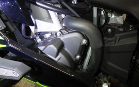 KAWASAKI ZX-4RR 2024 ZX400P