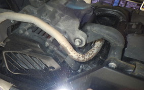 HONDA LEAD 125 2021 JF45