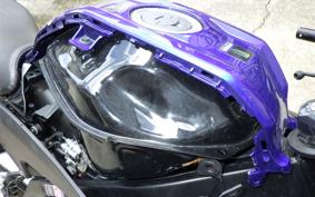 YAMAHA YZF-R15M