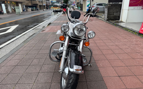 HARLEY FLSTC 2006 BJY