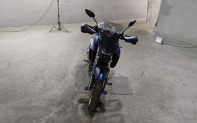 YAMAHA FZS25 RG69