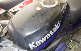 KAWASAKI ZZ-R250 EX250H