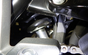SUZUKI Vｽﾄﾛｰﾑ250A 2023