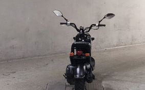HONDA ZUMAR AF58