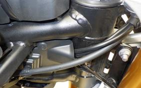 TRIUMPH TIGER 900 RALLY PRO 2025