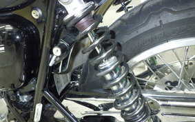 KAWASAKI W800 2024 EJ800E