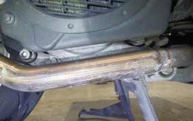 HONDA LEAD 110 2025 JF19