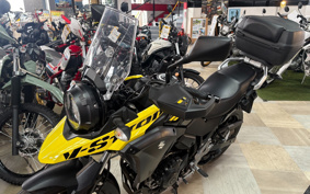 SUZUKI STROM 250 DS11A