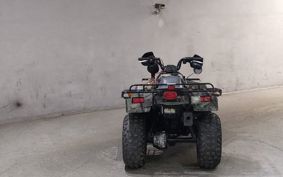 KAWASAKI BAYOU 220 LFBA10