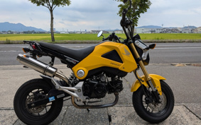 HONDA GROM JC61