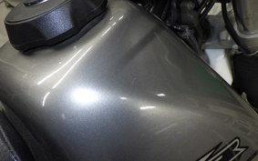 HONDA XR250 BAJA 2019 MD30