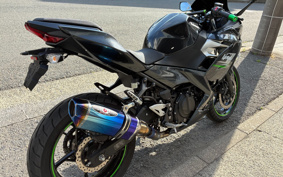 KAWASAKI NINJA 250 EX250P