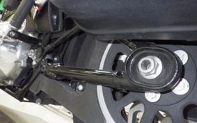 HARLEY FLSB 1750 2019