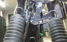 KAWASAKI W800 STREET 2022 EJ800E