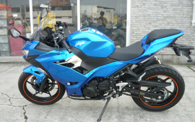 KAWASAKI NINJA 250 ABS EX250P
