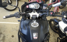 TRIUMPH TIGER1050(ショルイ