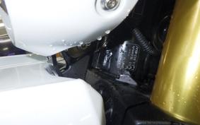 BMW R12G/S 2025