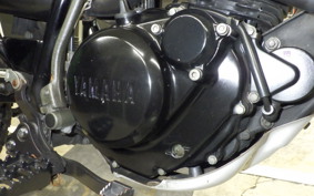 YAMAHA TW225 1994 DG09J