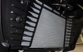 YAMAHA MT-25 A 2007 RG43J