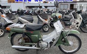 SUZUKI BIRDIE50